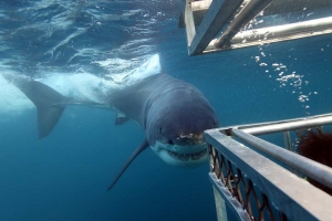 phoca_thumb_m_GW12 Photo Gallery