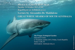 phoca_thumb_m_GW14 Photo Gallery
