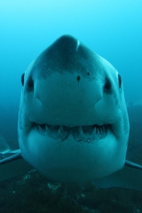 phoca_thumb_m_GW7 Photo Gallery