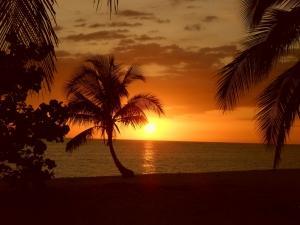 phoca_thumb_m_1158108918 Photo Gallery