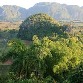 vinales2v