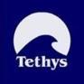 Tethys Tethys