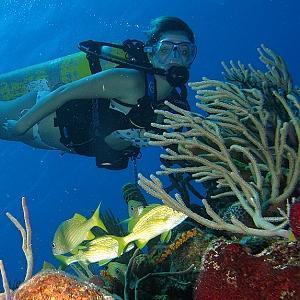 Easy and nice diving, photo Manuel Carmenate (c) 2014
